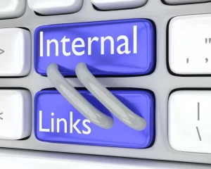 internal link adalah
