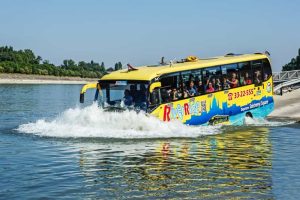 Waterfront buses to be unwrapped; do we care?